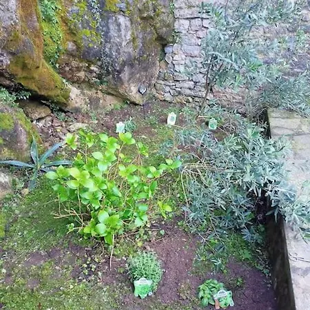 Relax Vicino Alle Cinque Terre 公寓 科尔瓦拉