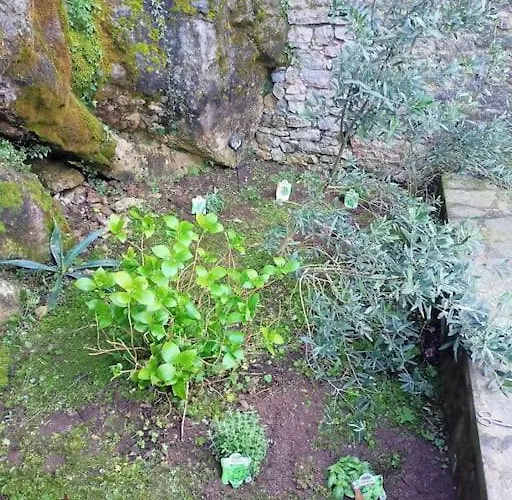 Relax Vicino Alle Cinque Terre דירה קורבארה